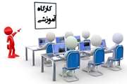 برگزاری کارگاه آشنایی با کتابخانه و نحوه دسترسی به منابع اطلاعاتی ویژه دانشجویان جدید